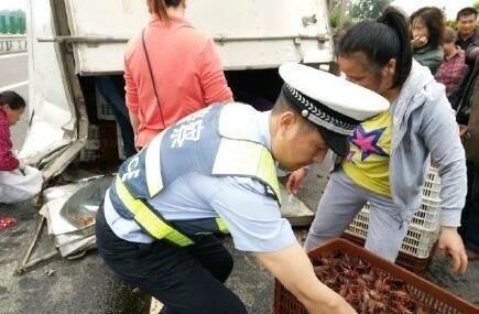 高速上4千斤虾翻车遭哄抢 警察帮捡虾手被夹肿