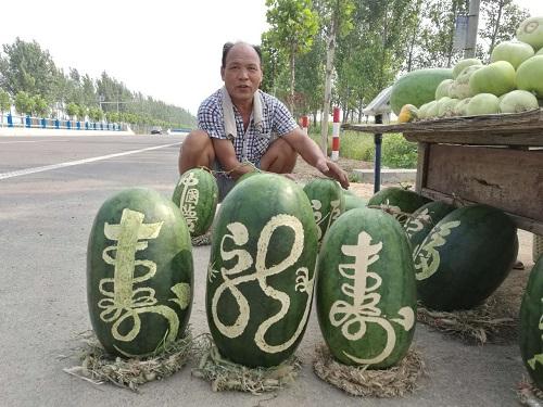 河南农民西瓜上写书法成