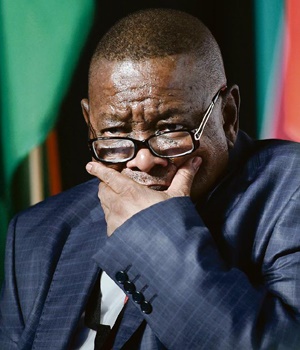 Blade Nzimande (File)