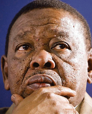 Blade Nzimande (File, City Press)