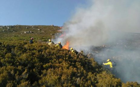 Firefighters from Working on Fire, Southern Cape Fire Protection Association and Eden District battle the blaze at the Middle Keurbooms Private Conservancy. Picture: Xolani Koyana/EWN.