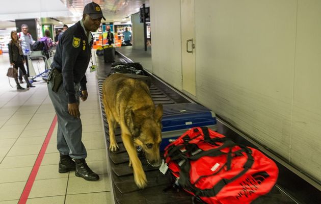 “Cocaine bust at OR Tambo Airport”的图片搜索结果