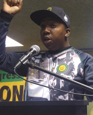 ANC Youth League Deputy President Desmond Moela. (Kaveel Singh, News24) 