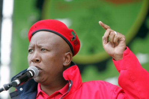 “Malema’s neighbours occupy land”的图片搜索结果