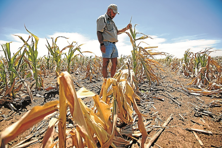 Picture: GALLO IMAGES/SUNDAY TIMES/JAMES OATWAY