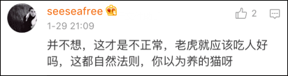 俄罗斯一男子养10只老虎当宠物 每天同住同睡