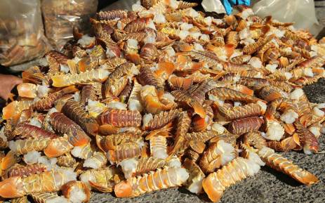 Lobster tails confiscated from a suspect. Picture: @SAPoliceService/Twitter