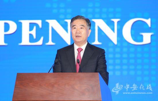 中共中央政治局委员、国务院副总理汪洋发表主旨演讲并宣布大会开幕。