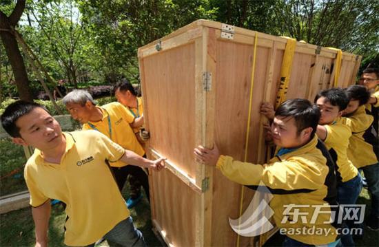 东方网5月28日报道：近日，家住上海徐汇区的消费者朱女士购买了一台大电视机，因为彩电体积太大，不得不靠吊装才运到家中。