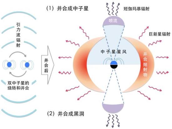 双中子星并合后发出短伽玛暴和巨新星辐射的示意图