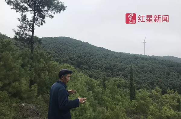 王德映老人介绍当年植树造林艰苦场景。