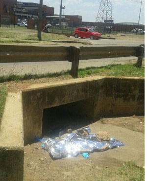 A plastic bag with the body was found next to a storm drain. (Supplied)