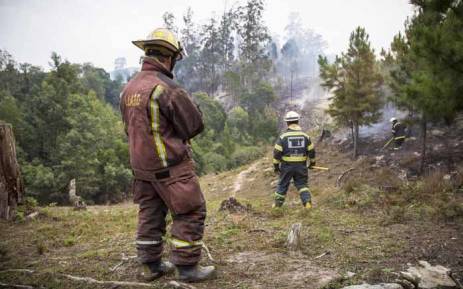 FILE: A volunteer ground crew in clean-up operations in one of Knysna’s plantation forests. Picture: Thomas Holder/EWN